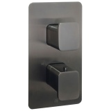 Cutout image of JTP Hix Brushed Black Dual Outlet Shower Valve